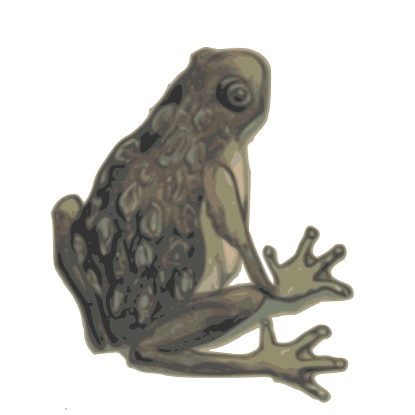 Realistic Frog