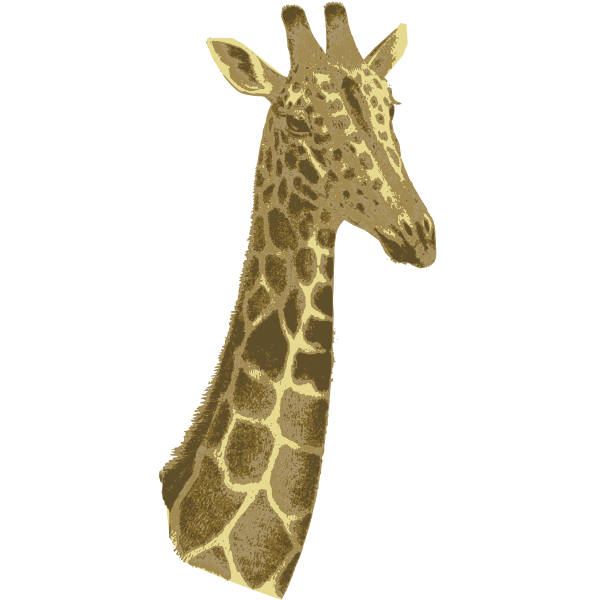 Giraffe Head