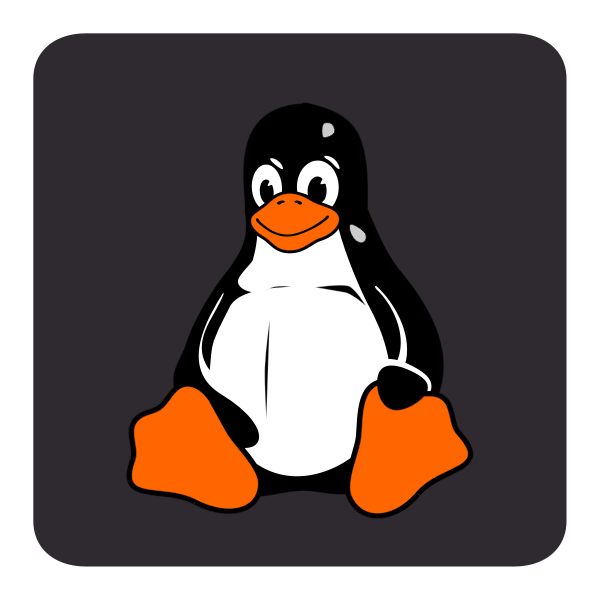 Tux color computer key