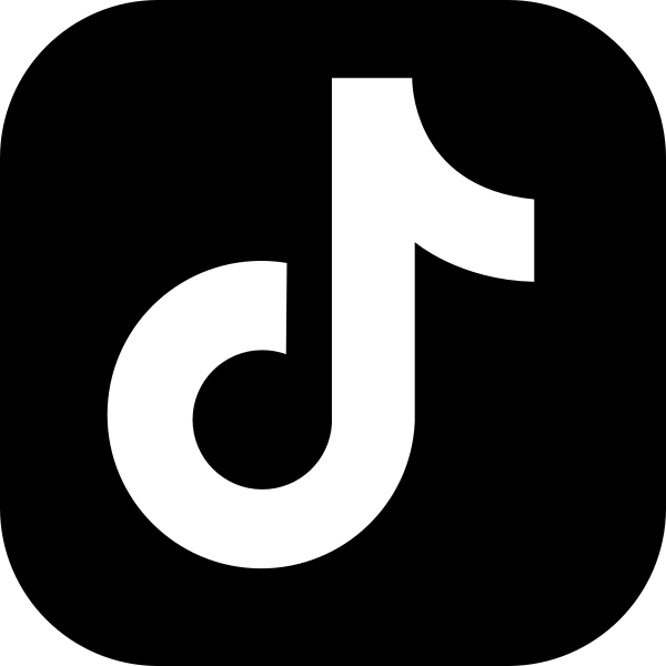 TikTok icon