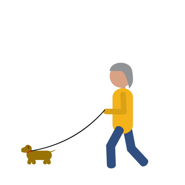 Person walking a dog