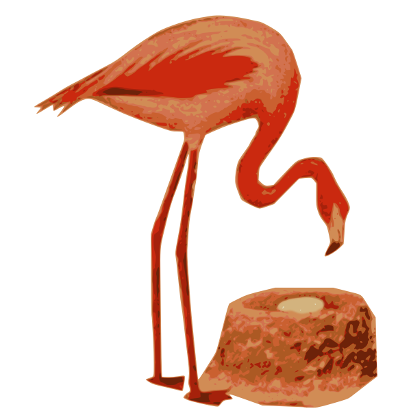 Flamingo Nest