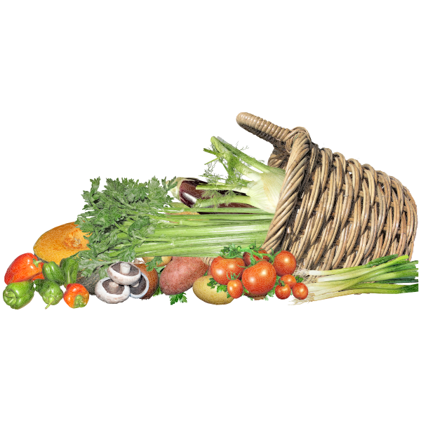 Basket Of Vegetables By Buntysmum