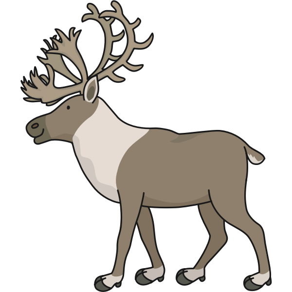 Reindeer (#3)