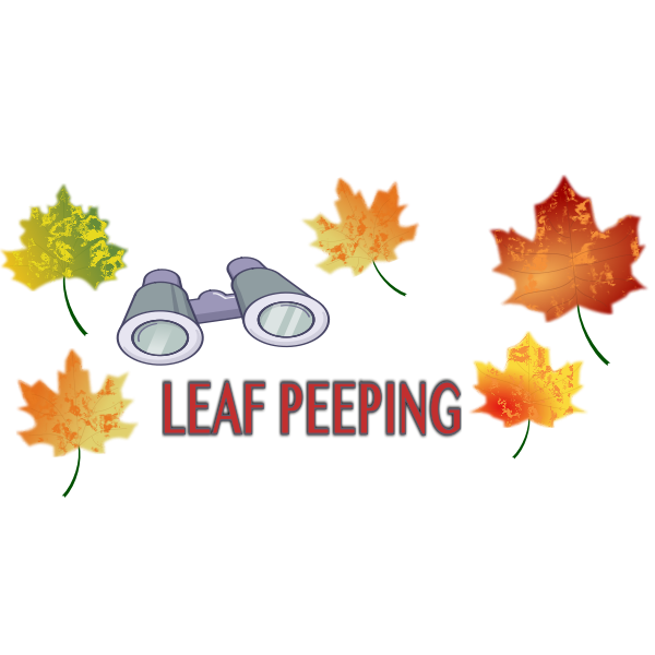 Leaf Peeping
