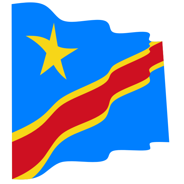 Democratic Republic of Congo flag