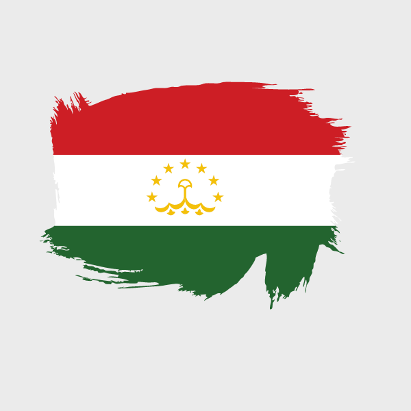 Painted flag of Tajikistan