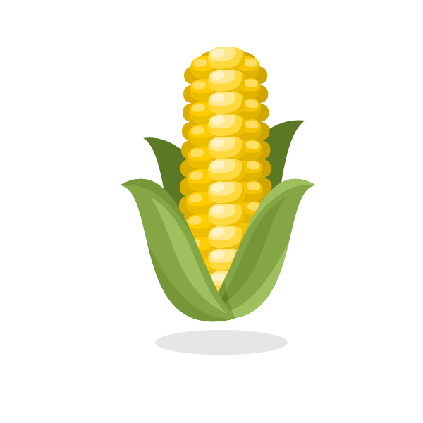 Corn plant clip art