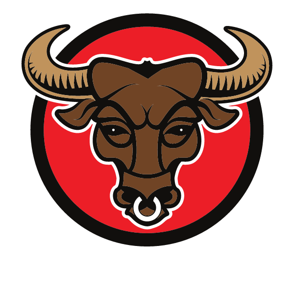 Bull head logo concept