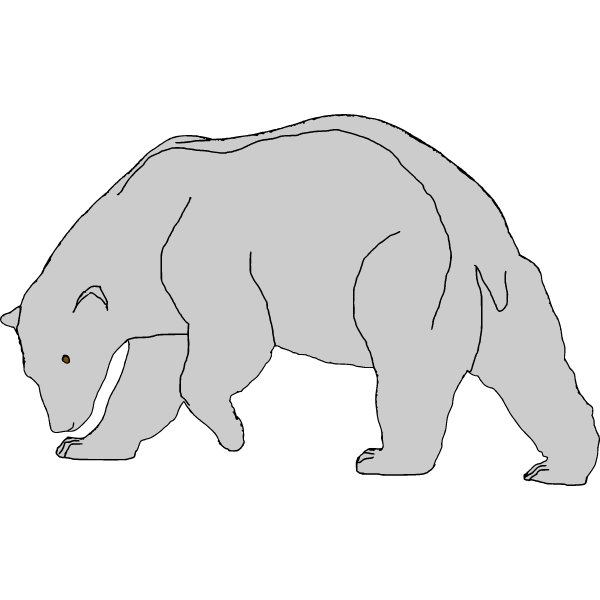 Bear 3