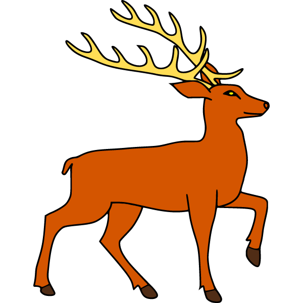 Deer 17