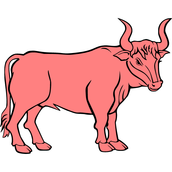 Bull 3d