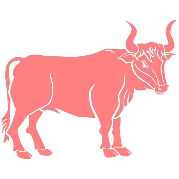 Bull 3e