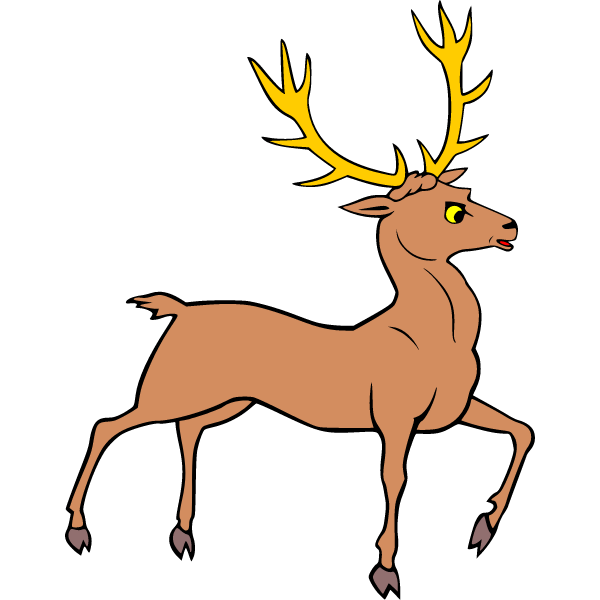 Deer 13