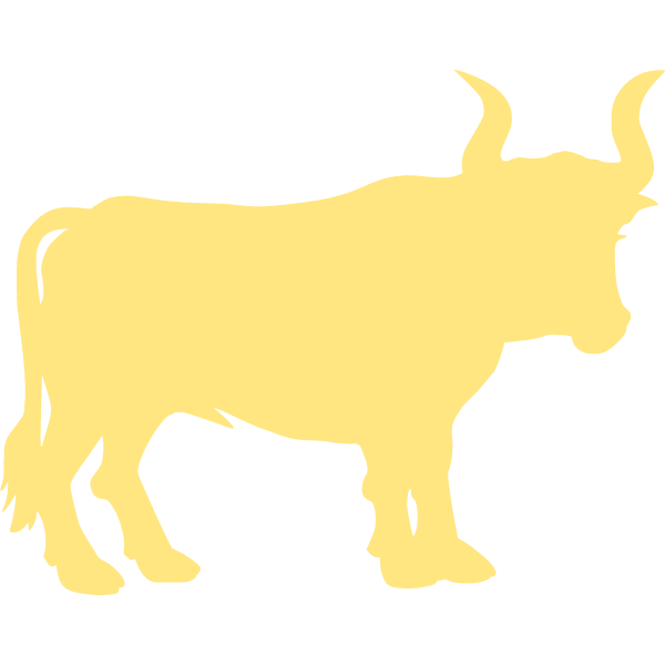 Bull 3i