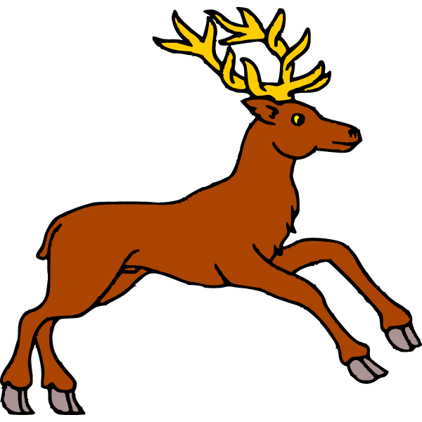 Deer 11