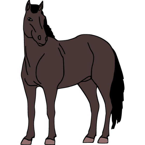 Horse 17