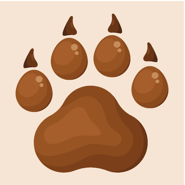 Animal paw