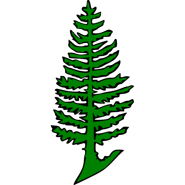 Pine 8b