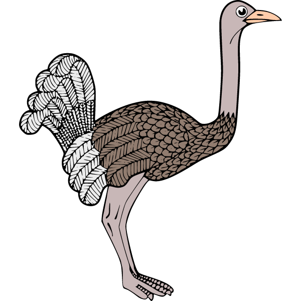 Ostrich 1