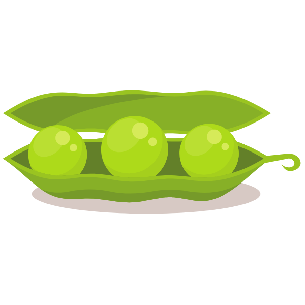Green beans vegetable