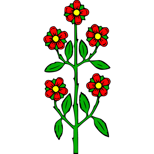 Flower 11
