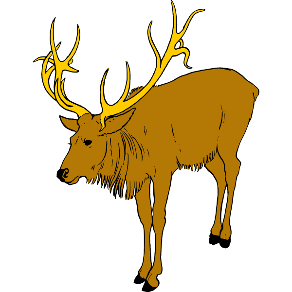 Deer 1