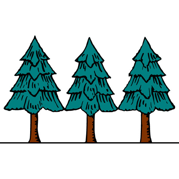 Pine 2