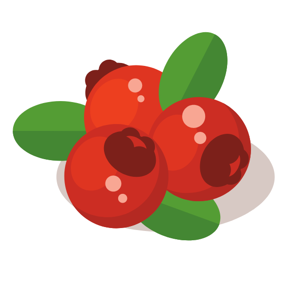 Cranberries fruit