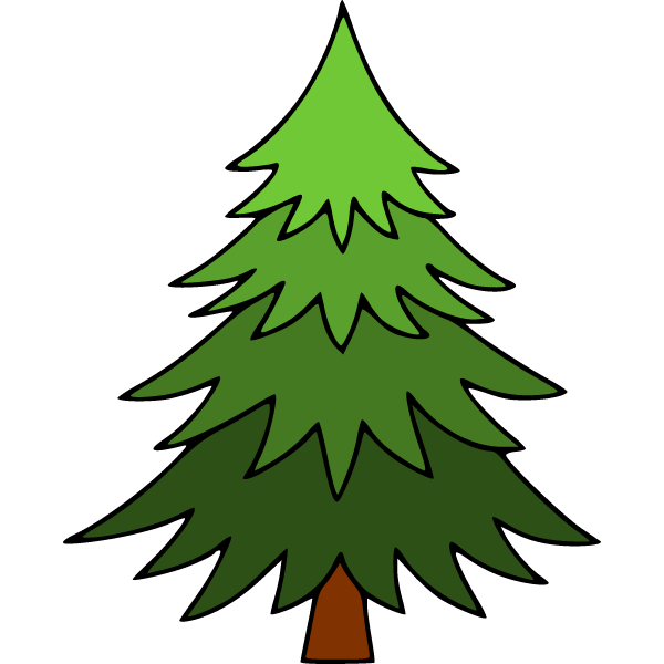 Pine 7