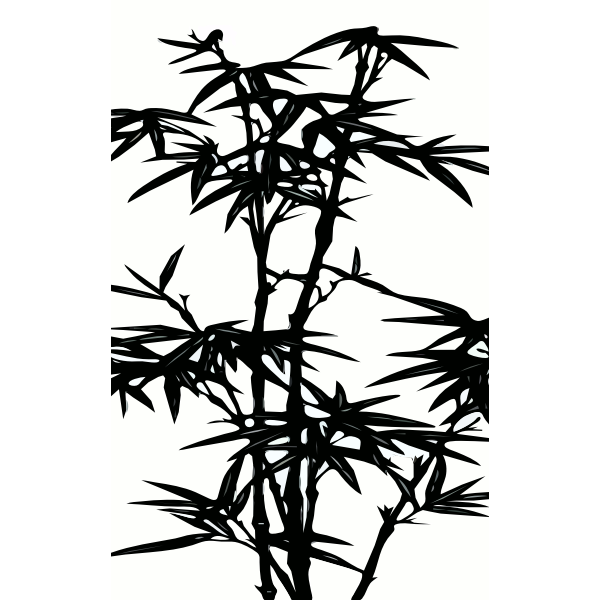 Bamboo tree vector graphics