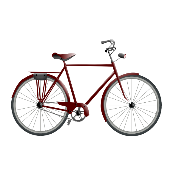 Bicycle vector image