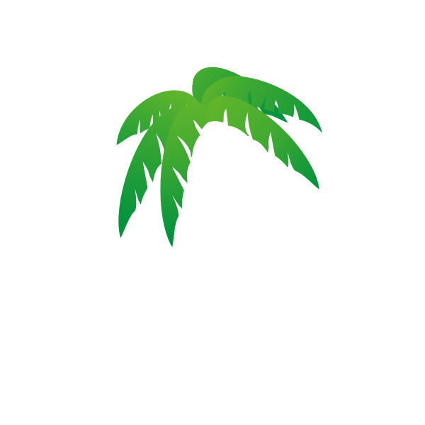 Palm's tree leaves vector illustration