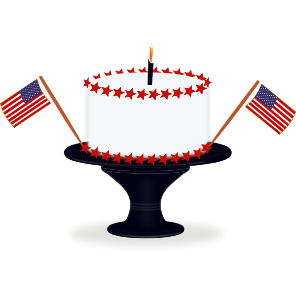 Happy birthday America vector image