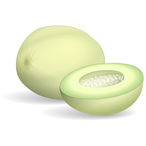 Honeydew melon whole and half vector clip art