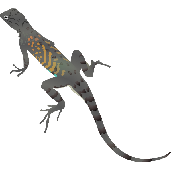 Illustration of colorful lizard