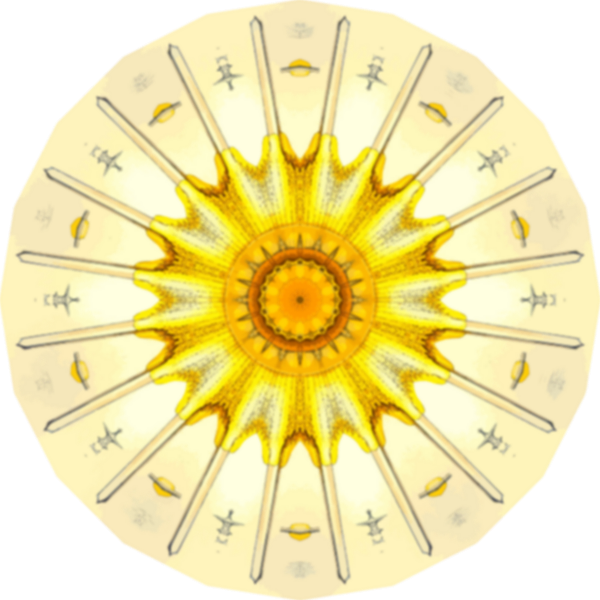 Acanthometra16