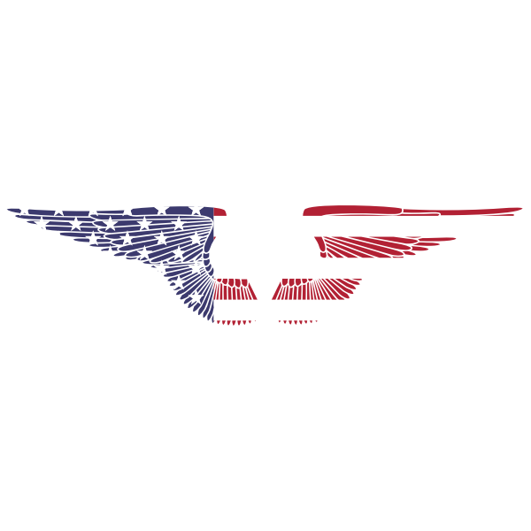 American Hand Drawn Wings