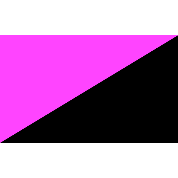 Vector image of anarcho-queer flag