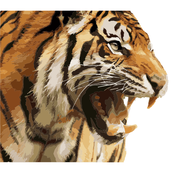 Angry Tiger