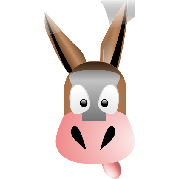 Donkey