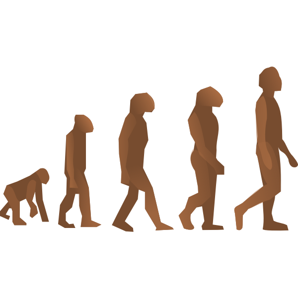 evolution steps