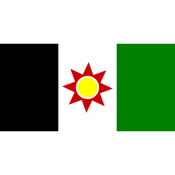 Flag of Iraq 1959-1963 vector image