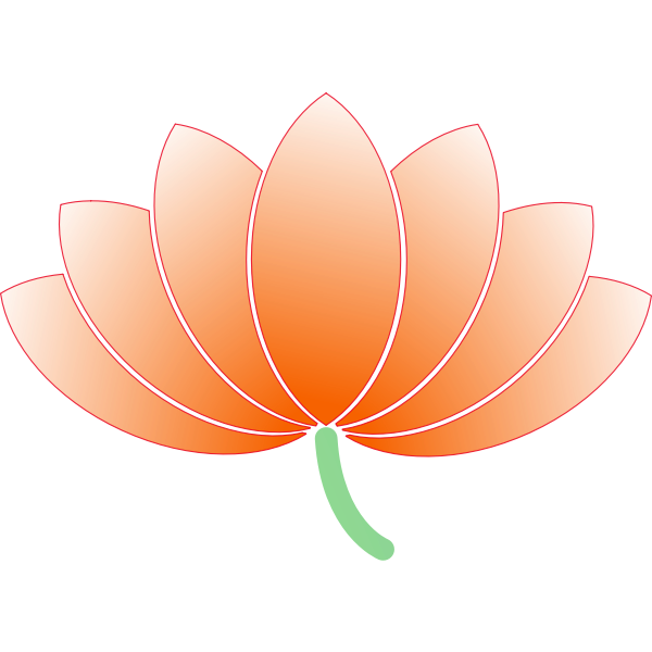 Lotus flower vector image