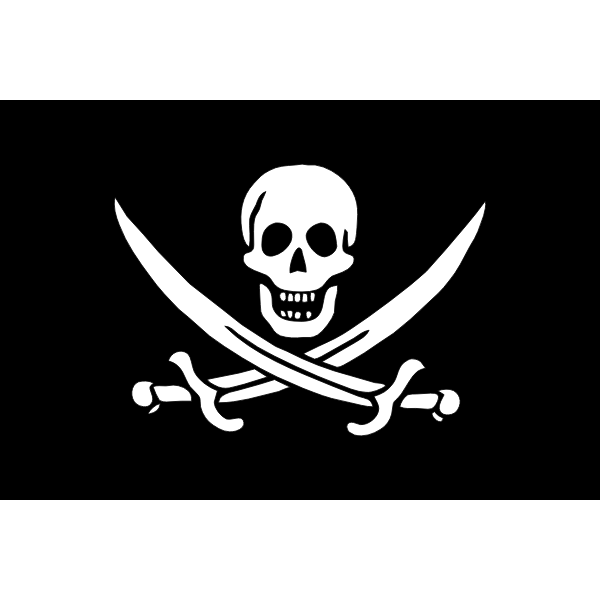 Pirate flag skull and swords vector image