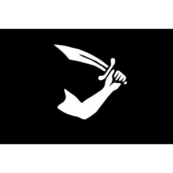 Pirate flag arm and sword vector image