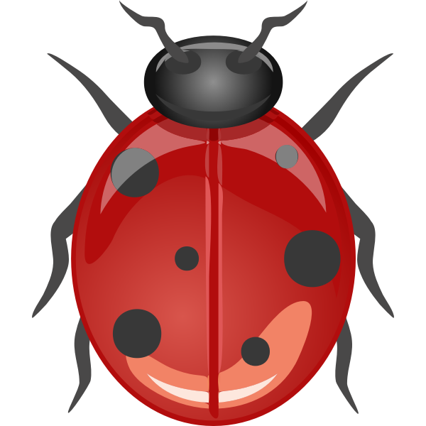 Glossy ladybug