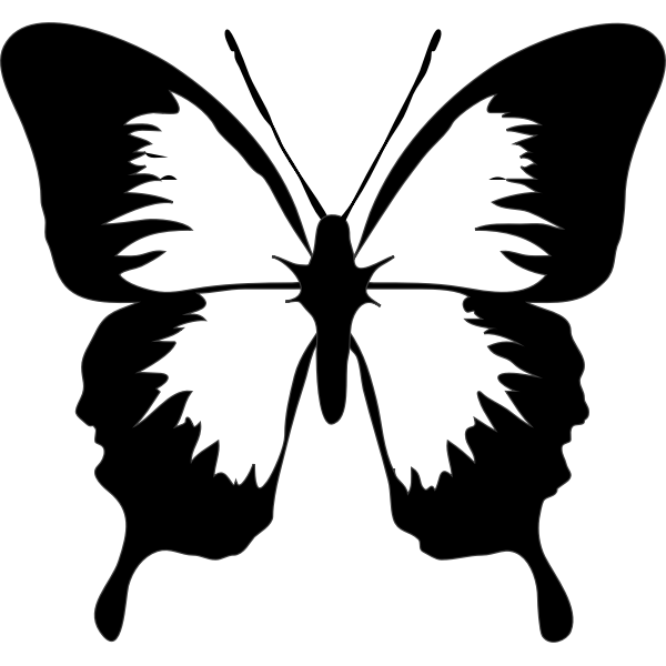 Butterfly silhouette image