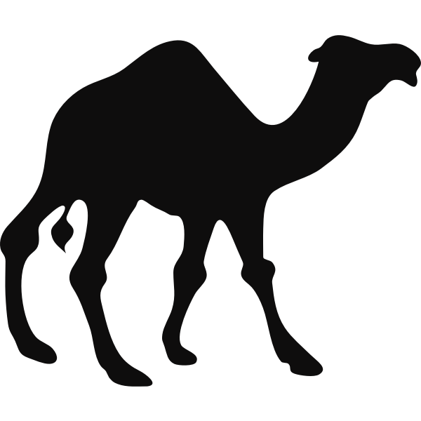 Camel silhouette vector image