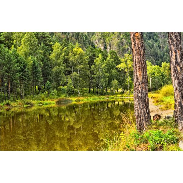 Autumn Lake Reflection